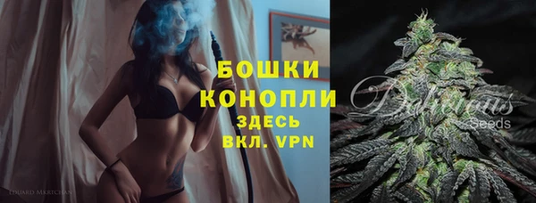 соль ск Осташков