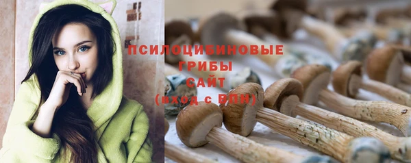 МДПВ Остров