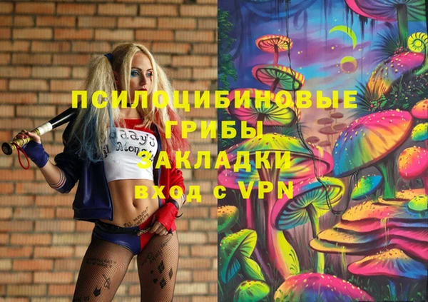 МДПВ Остров