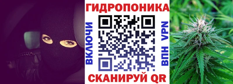 Купить закладки  Пучеж  Бошки Шишки конопля 